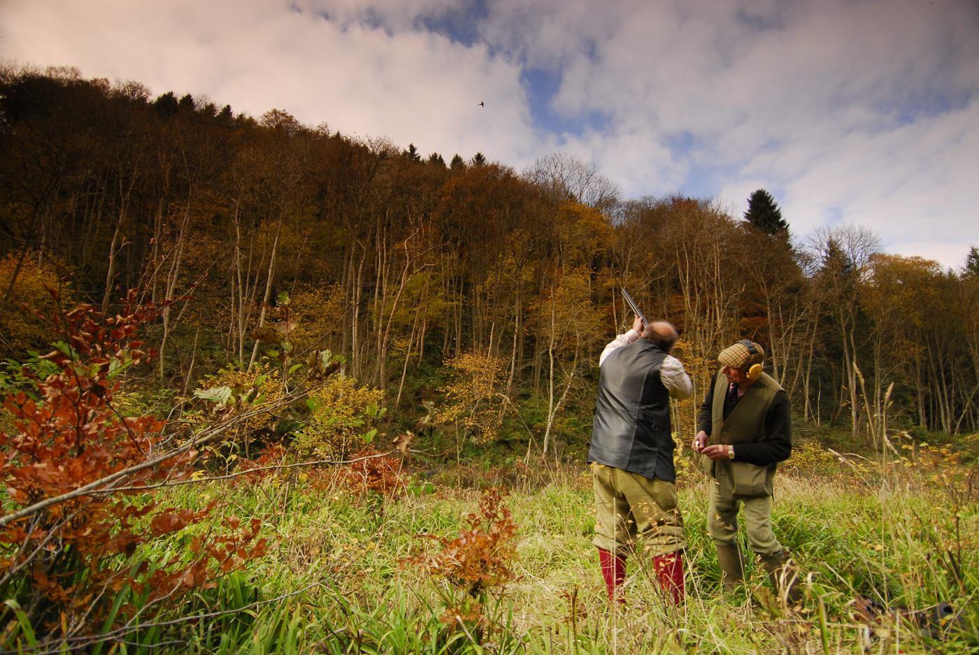 Guns on a driven day in the autumn woods of the Whitfield Estate