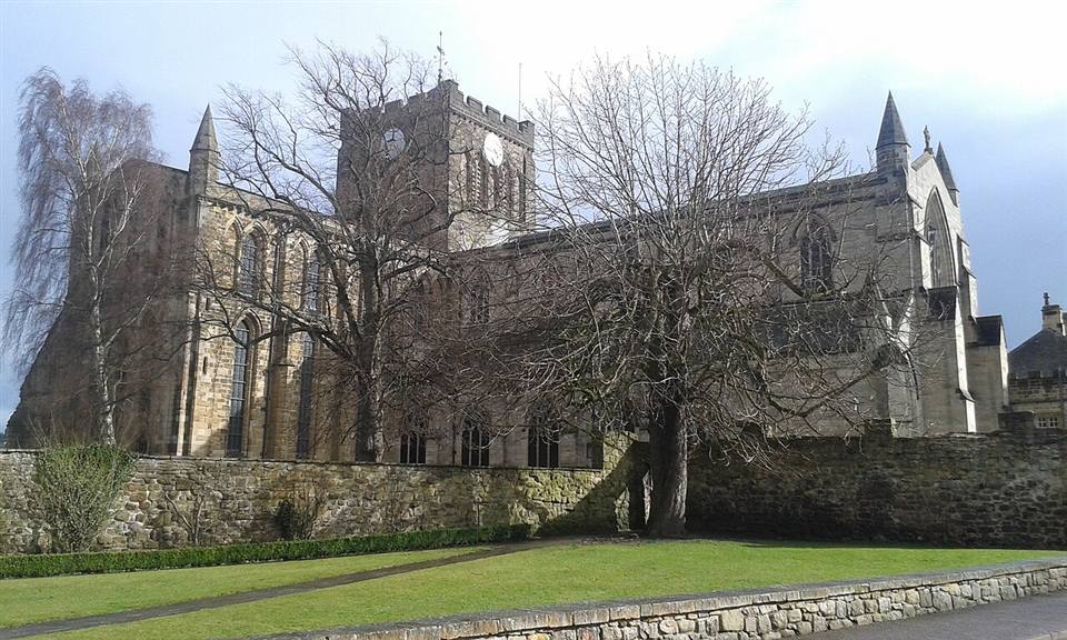 Hexham Abbey seen through trees