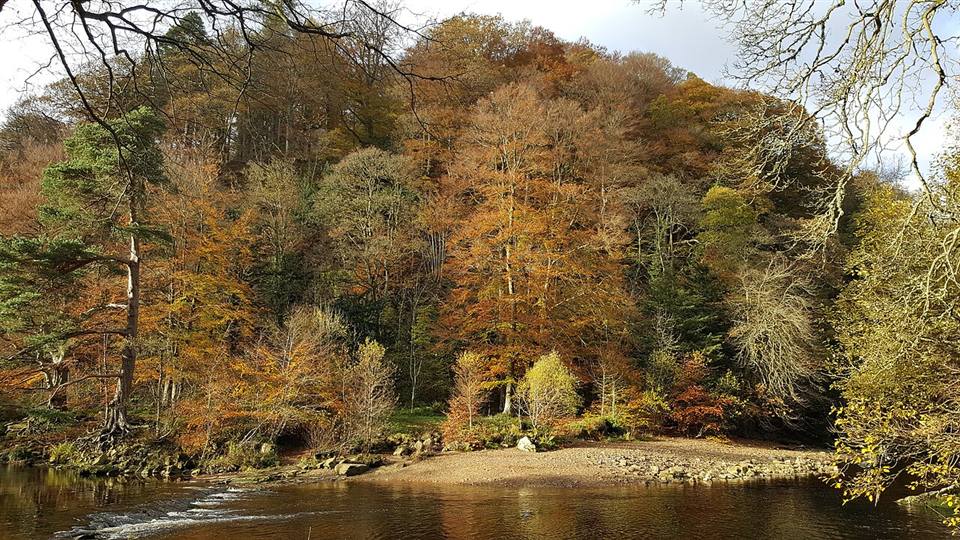 The River Allen flowing past a rocky beach beneath Raven Crag in Staward Gorge