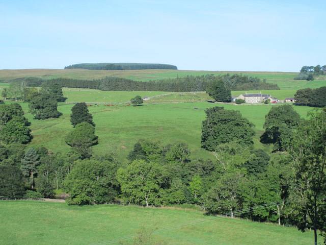 Green fields and woodland of West Allen Dale near Whitfield